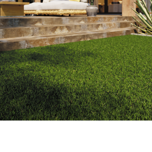 92186706-ambiance21